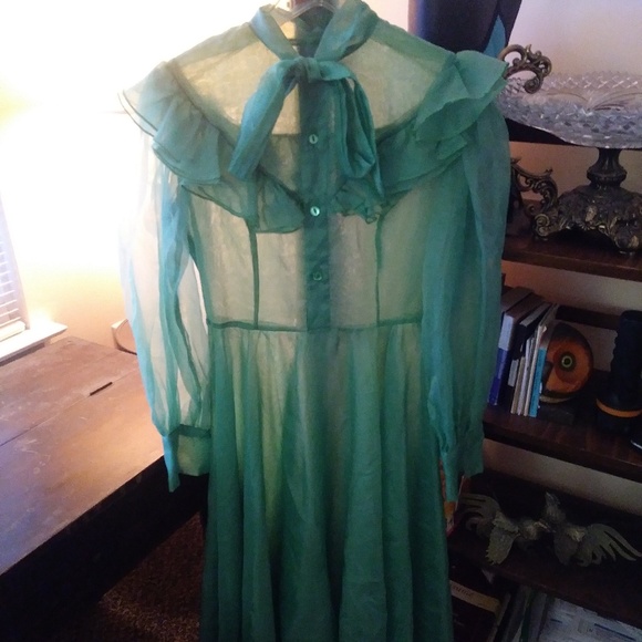 VGE-50s-Dress-Mint-Green-Nylon-Chiffon-LRGE 10-12 - Picture 3 of 8